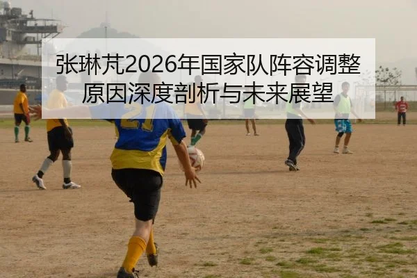 张琳芃2026年国家队阵容调整原因深度剖析与未来展望