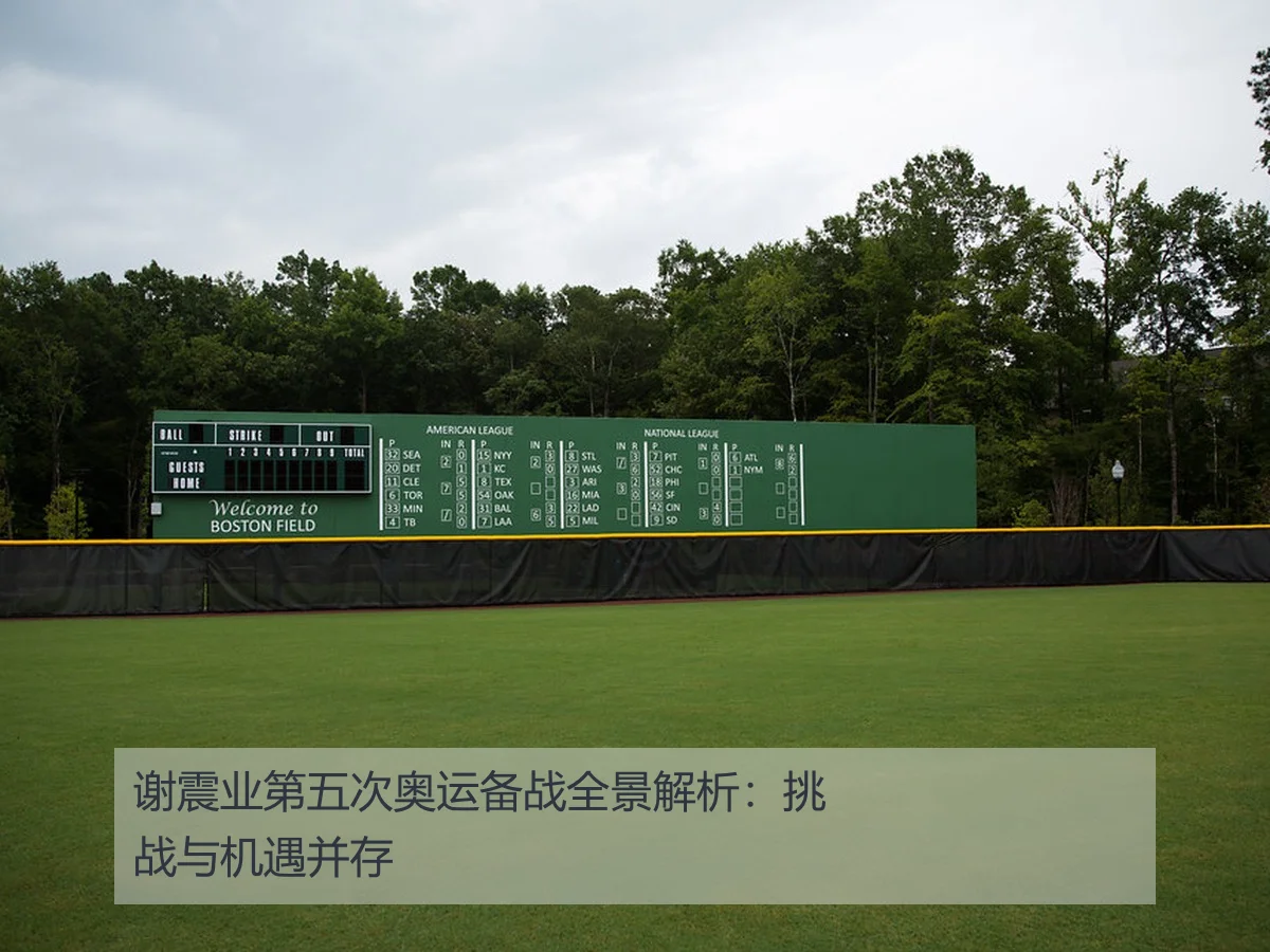 谢震业第五次奥运备战全景解析：挑战与机遇并存